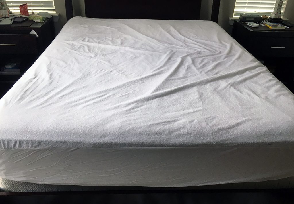 saferest bed bug mattress protector