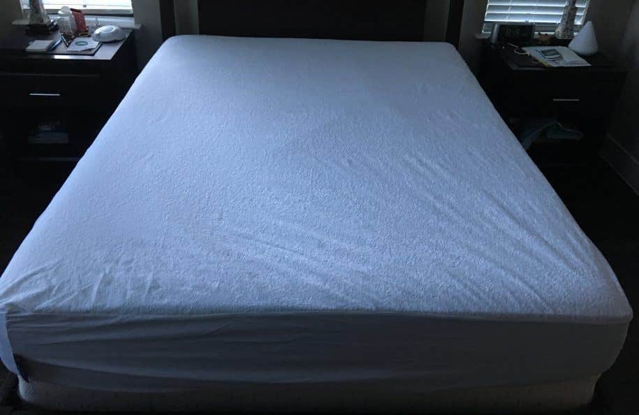 Mattress Protectors Sleep Tite Pr1me vs Luna (2024) Mattress Clarity