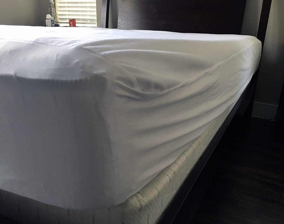  SureGuard Full Size Mattress Protector - 100% Waterproof,  Hypoallergenic - Premium Fitted Cotton Terry Cover White : Home & Kitchen