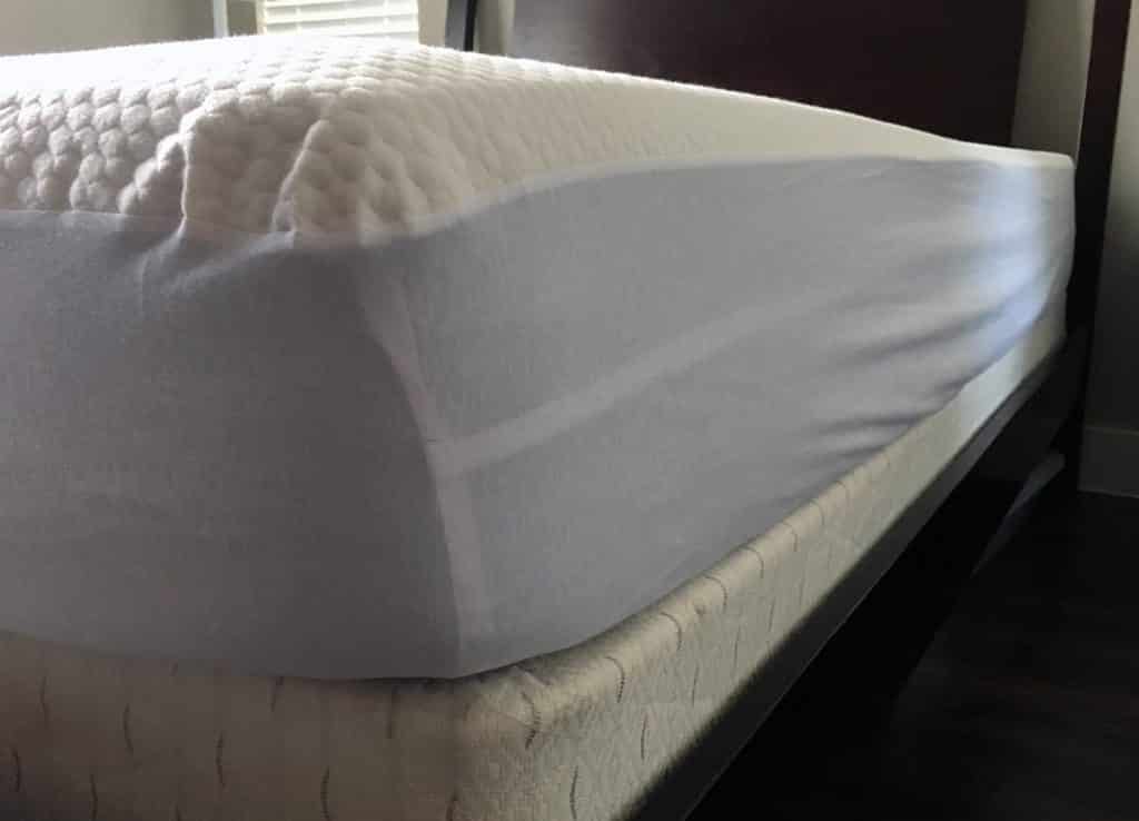 bear waterproof mattress protector