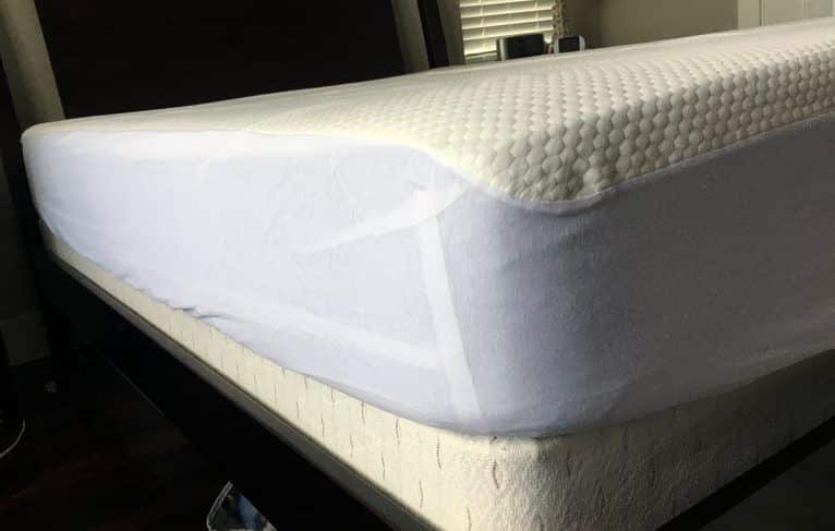 amazon bear mattress protector