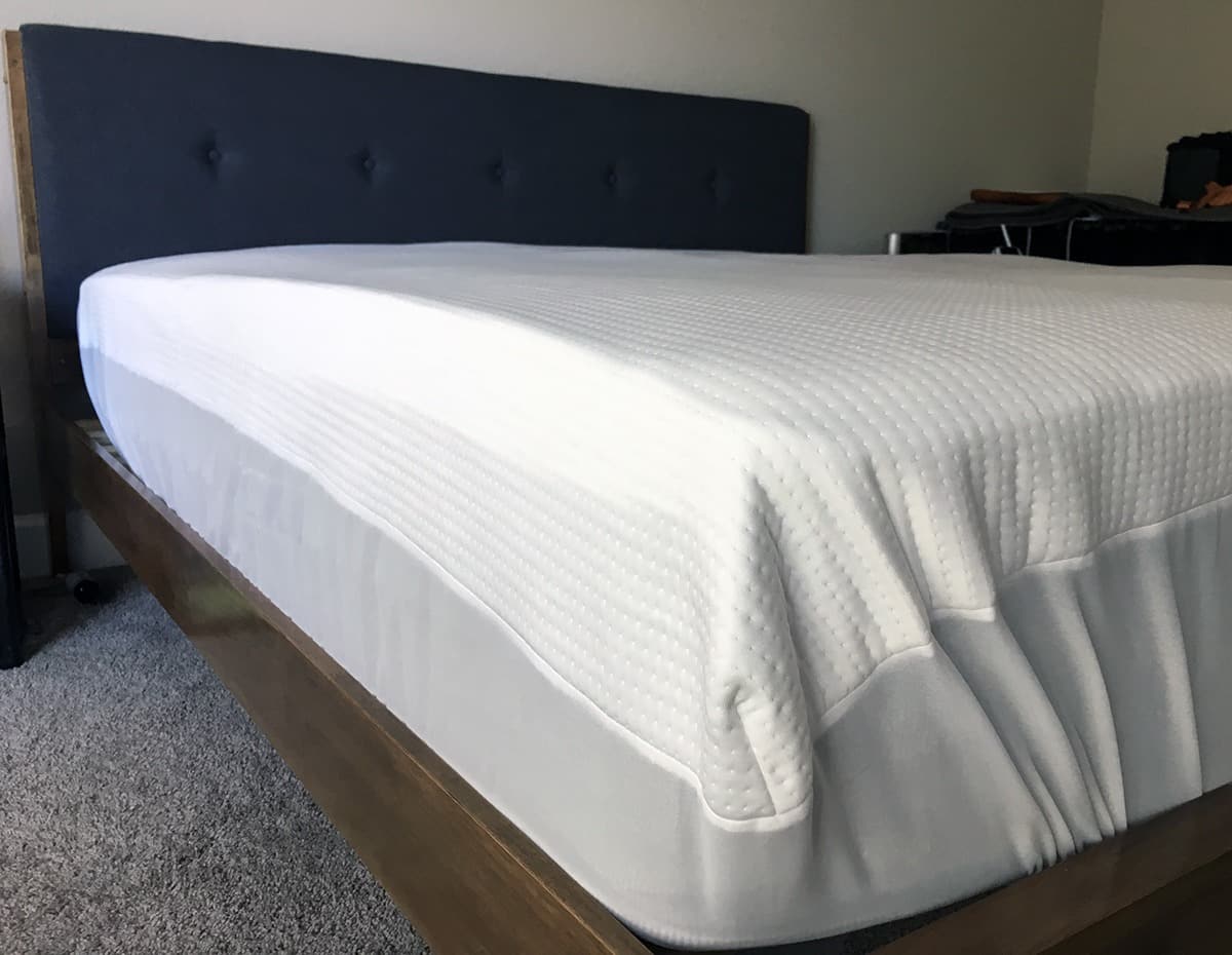 dream guard mattress protector reviews