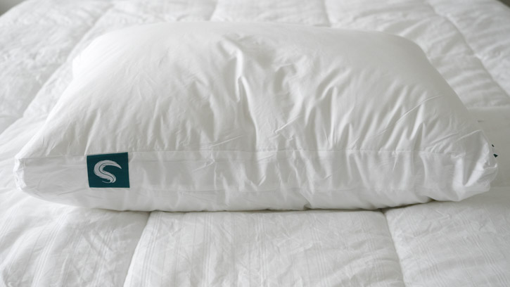 sleepgram pillow