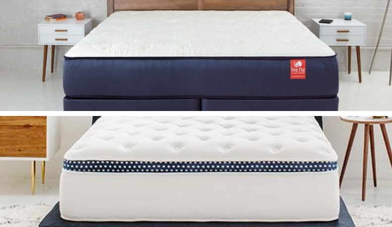 Big Fig Mattress Protector