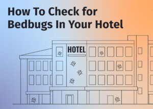 MC Feature Image Bedbugs In Hotels 300x213 