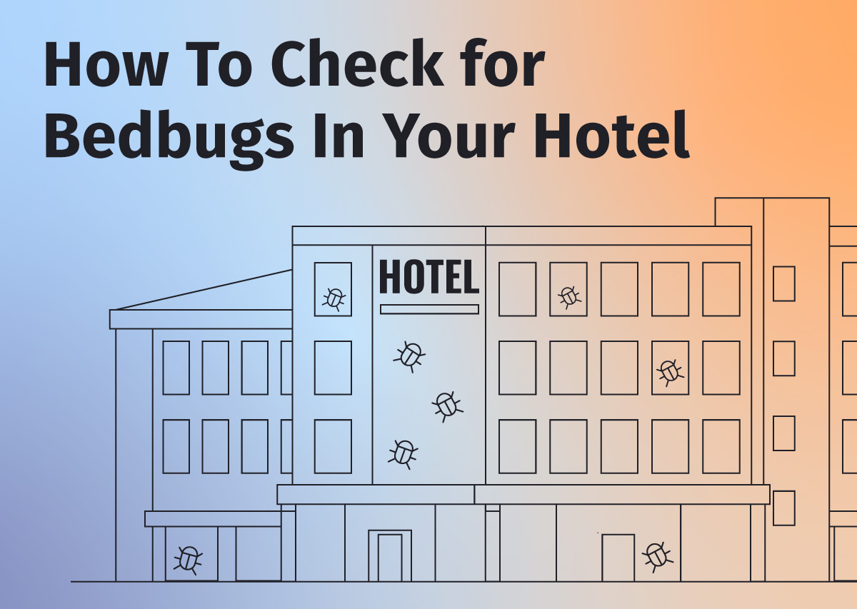 Keep Bed Bugs From Following You From Vacation With 4 Simple Steps