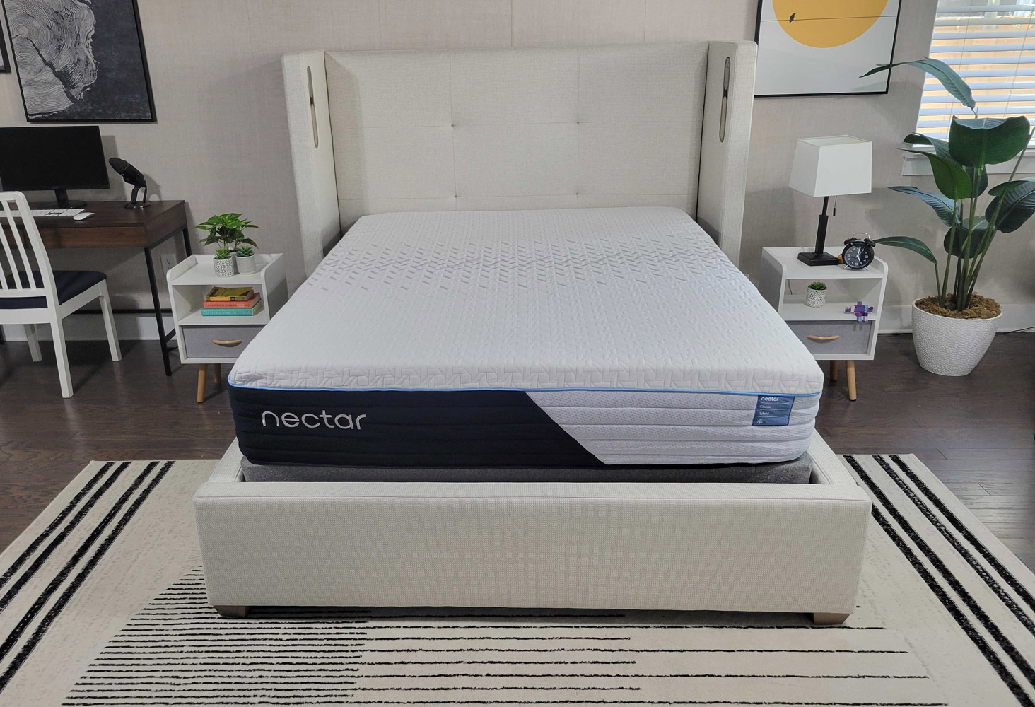 10 Best Mattresses for Stomach Sleepers 2024 Clarity